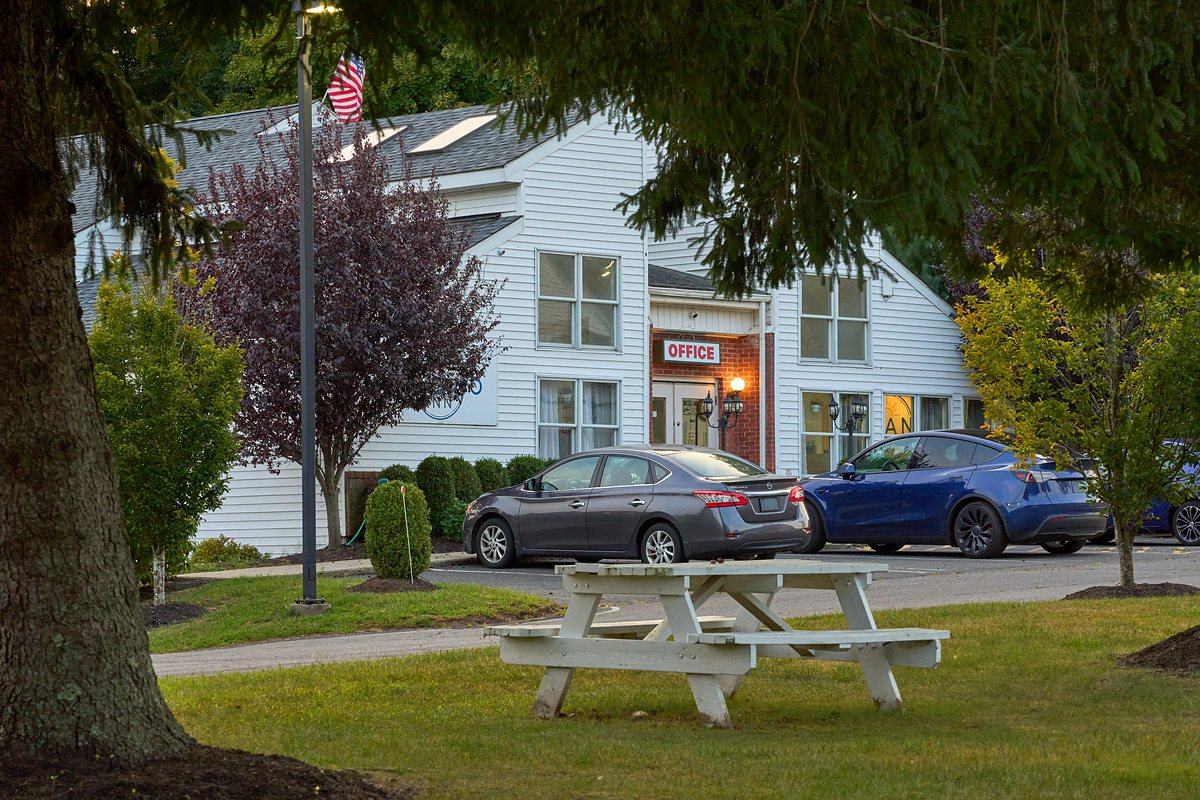 A wooden picnic table on the lawn beneath a large mature pine, with the white clapboard office building and parked cars behind it in early evening light.