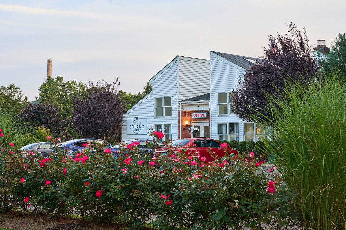 Rose bushes in full red bloom and tall ornamental grasses along the edge of the parking area, with the Solano Inn sign and office entrance behind.