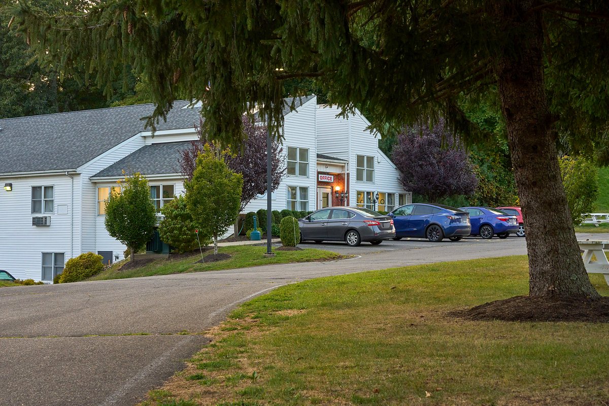 The drive curving past open lawn and a large mature tree, with the white guest buildings and office set back behind landscaped shrubs.