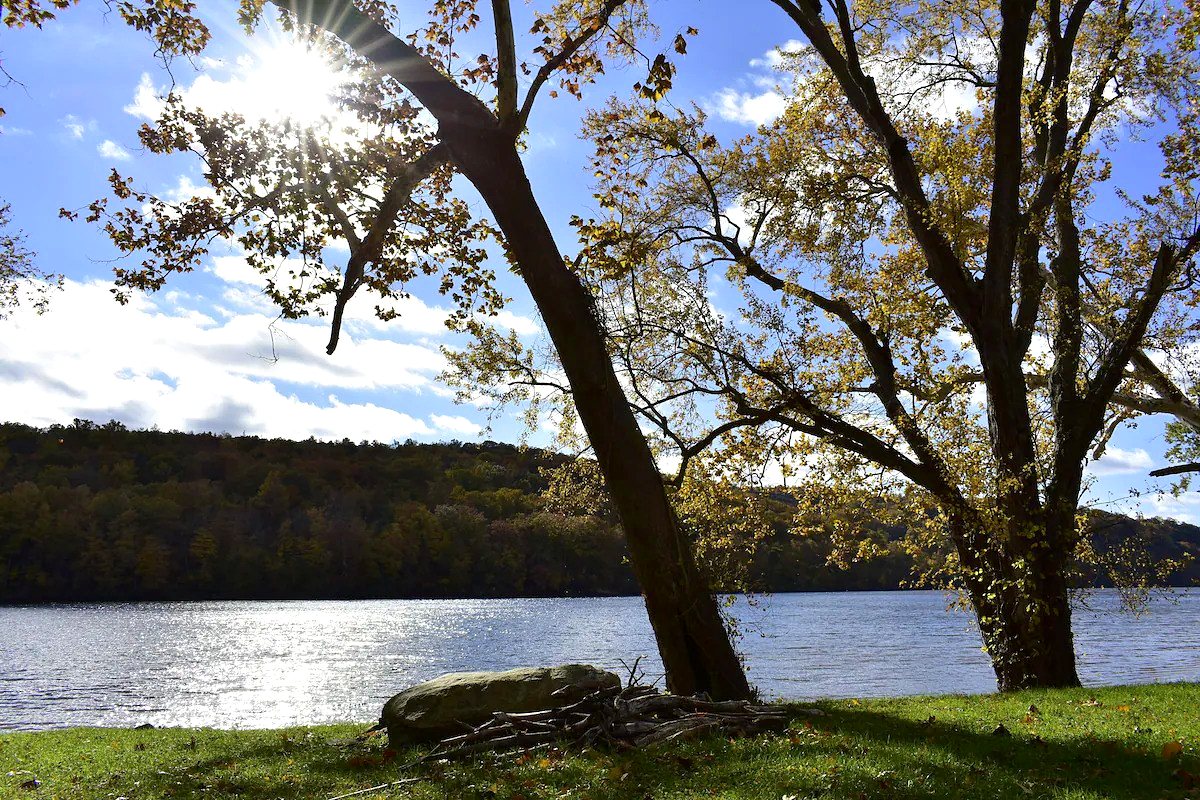 The Connecticut River seen through two large autumn trees from a grassy bank, sunlight breaking through the branches and a wooded ridge on the far shore. The river is one mile from the property.